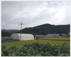  2025Ÿ��698 �泲 õ�Ƚ� ������ ���Ÿ� ��긮 682-6     ����(��)���