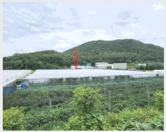  2025Ÿ��698 �泲 õ�Ƚ� ������ ���Ÿ� ��긮 682-6     ����(��)���