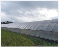  2025Ÿ��698 �泲 õ�Ƚ� ������ ���Ÿ� ��긮 682-6     ����(��)���