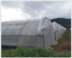  2025Ÿ��698 �泲 õ�Ƚ� ������ ���Ÿ� ��긮 682-6     ����(��)���