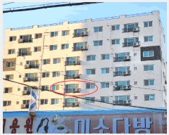  2025Ÿ11204 泲 õȽ   48-9 6603ȣ     Ʈ