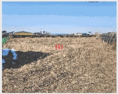  2025Ÿ11231 泲 õȽ ϱ   408-1     ()