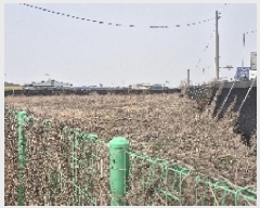  2025Ÿ11231 泲 õȽ ϱ   408-1     ()