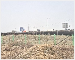  2025Ÿ11231 泲 õȽ ϱ   408-1     ()