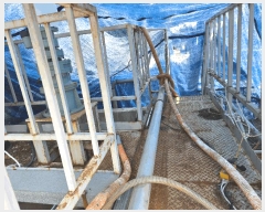  2025Ÿ��11316 �泲 �ƻ�� ������ ���縮 195-3      ������