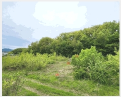  2025Ÿ11457 泲 ƻ θ â븮 134-2      (1)