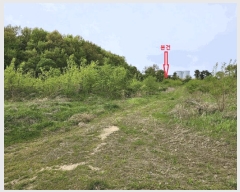  2025Ÿ11457 泲 ƻ θ â븮 134-2      (1)