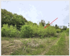  2025Ÿ11457 泲 ƻ θ â븮 134-2      (1)