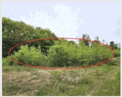  2025Ÿ11457 泲 ƻ θ â븮 134-2      (1)