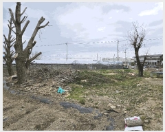  2025Ÿ��11469  �������