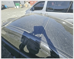  2025Ÿ��11477  �������