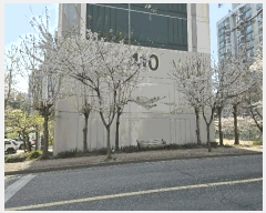  2025Ÿ11489 泲 õȽ ϱ ֿ뵿 1914 ְƮ 410 2205ȣ   Ʈ