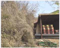  2025Ÿ��11497 �泲 õ�Ƚ� ���ϱ� ������ ������ ��68-2     ����(�Ӿ�)���