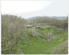  2025Ÿ��11497 �泲 õ�Ƚ� ���ϱ� ������ ������ ��68-2     ����(�Ӿ�)���