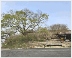  2025Ÿ��11497 �泲 õ�Ƚ� ���ϱ� ������ ������ ��68-2     ����(�Ӿ�)���