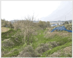  2025Ÿ��11497 �泲 õ�Ƚ� ���ϱ� ������ ������ ��68-2     ����(�Ӿ�)���