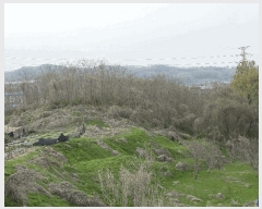  2025Ÿ��11497 �泲 õ�Ƚ� ���ϱ� ������ ������ ��68-2     ����(�Ӿ�)���