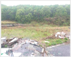  2025Ÿ��11509  �Ӿ߰��