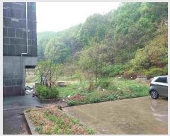  2025Ÿ��11509  �Ӿ߰��