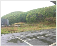  2025Ÿ��11509  �Ӿ߰��