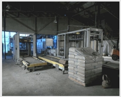  2025Ÿ��11663  ������