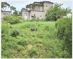  2025Ÿ��11689 �泲 �ƻ�� ������ ���޸� 55-83      ���ð��