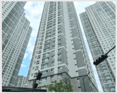  2025Ÿ��11800  ����Ʈ���