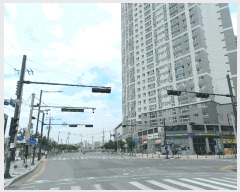  2025Ÿ��11800  ����Ʈ���