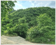  2025Ÿ��11855  �Ӿ߰��