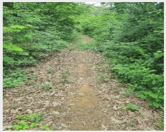  2025Ÿ��11855  �Ӿ߰��