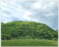  2025Ÿ��11855  �Ӿ߰��