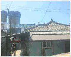  2025Ÿ��11860 �泲 õ�Ƚ� ������ ��ȭ�� 92-28      ���ð��