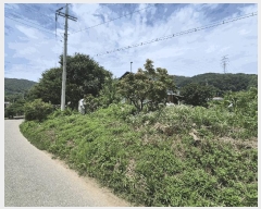  2025Ÿ��12082  �����