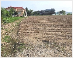  2025Ÿ��12105 �泲 �ƻ�� ����� ���⸮ 50      ����(��1)���