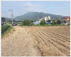  2025Ÿ��12105 �泲 �ƻ�� ����� ���⸮ 50      ����(��1)���