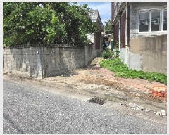  2025Ÿ��12238  �������