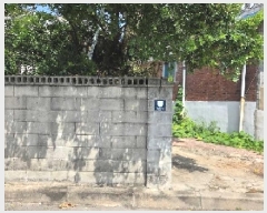  2025Ÿ��12238  �������