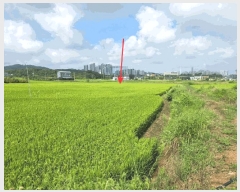  2025Ÿ��12254  ����