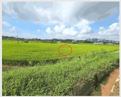  2025Ÿ��12254  ����