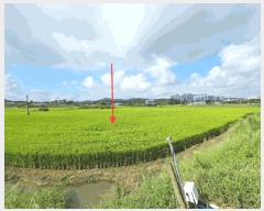  2025Ÿ��12254  ����