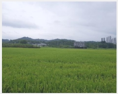  2025Ÿ��12254  ����