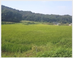  2025Ÿ��12265 �泲 õ�Ƚ� ���ϱ� ����� ���帮 277     ����(��)���