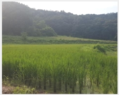  2025Ÿ��12265 �泲 õ�Ƚ� ���ϱ� ����� ���帮 277     ����(��)���