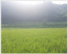  2025Ÿ��12265 �泲 õ�Ƚ� ���ϱ� ����� ���帮 277     ����(��)���