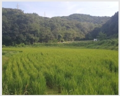  2025Ÿ��12265 �泲 õ�Ƚ� ���ϱ� ����� ���帮 277     ����(��)���