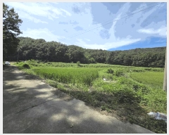  2025Ÿ��12265 �泲 õ�Ƚ� ���ϱ� ����� ���帮 277     ����(��)���