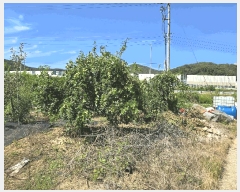  2025Ÿ��12343 �泲 õ�Ƚ� ������ ��õ�� ������ 19     ����(��1)���