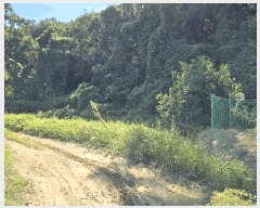  2025Ÿ��12343 �泲 õ�Ƚ� ������ ��õ�� ������ 19     ����(��1)���