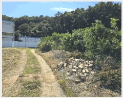  2025Ÿ��12343 �泲 õ�Ƚ� ������ ��õ�� ������ 19     ����(��1)���