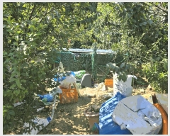  2025Ÿ��12343 �泲 õ�Ƚ� ������ ��õ�� ������ 19     ����(��1)���